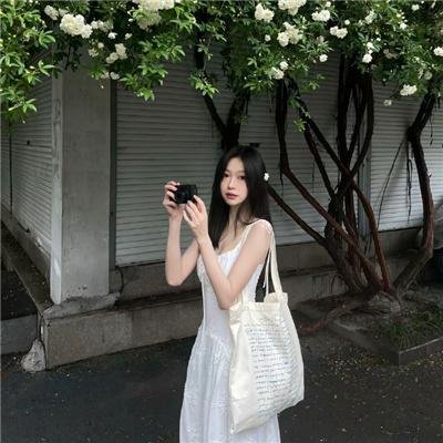 森林奇旅